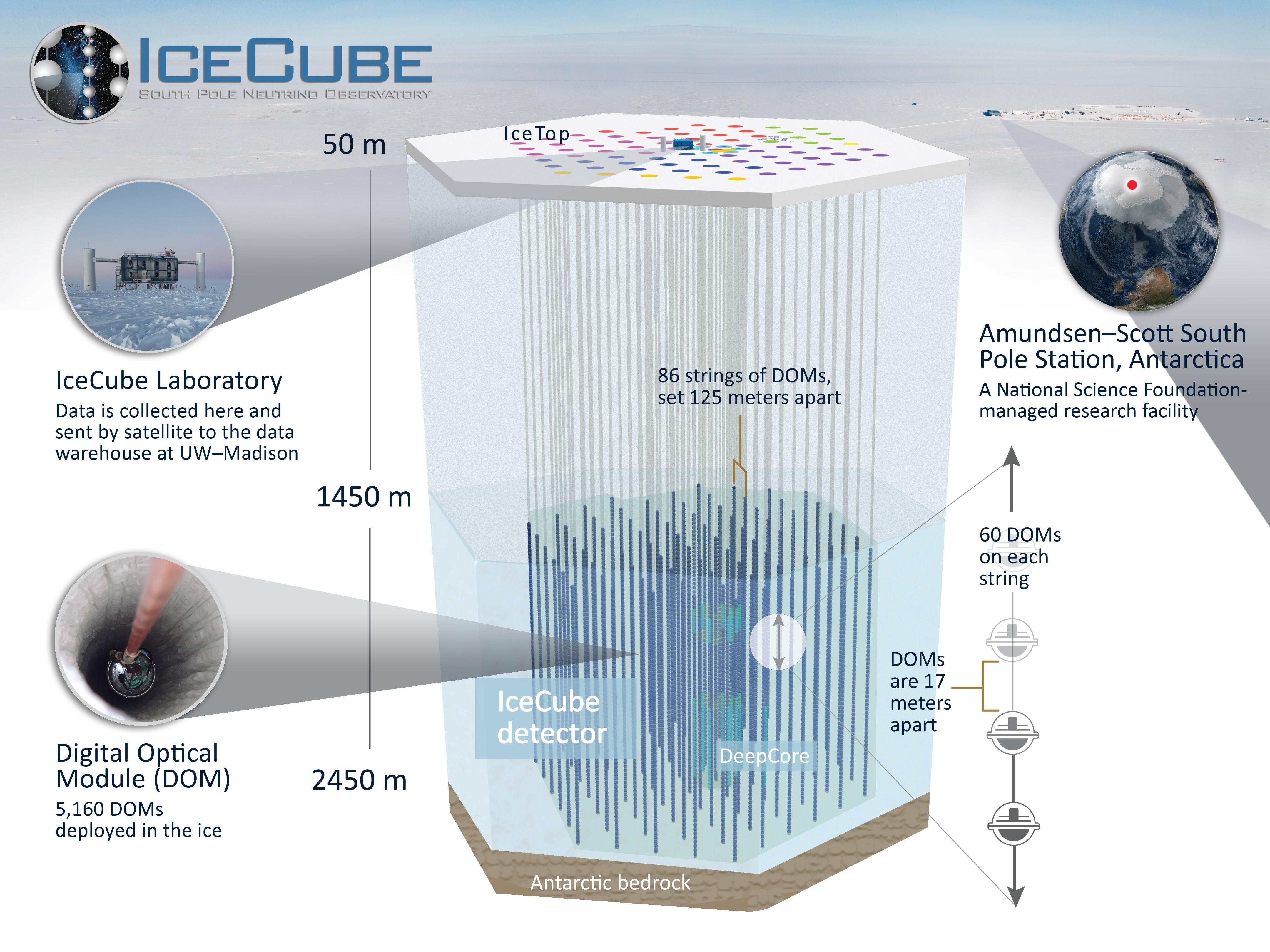icecube detector