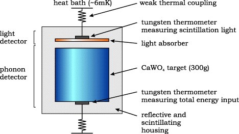 Neganov-Luke light device principle