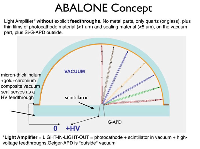 Abalone concept