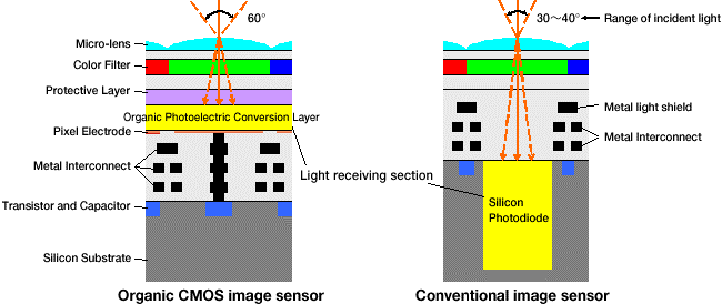 Organic sensor principle